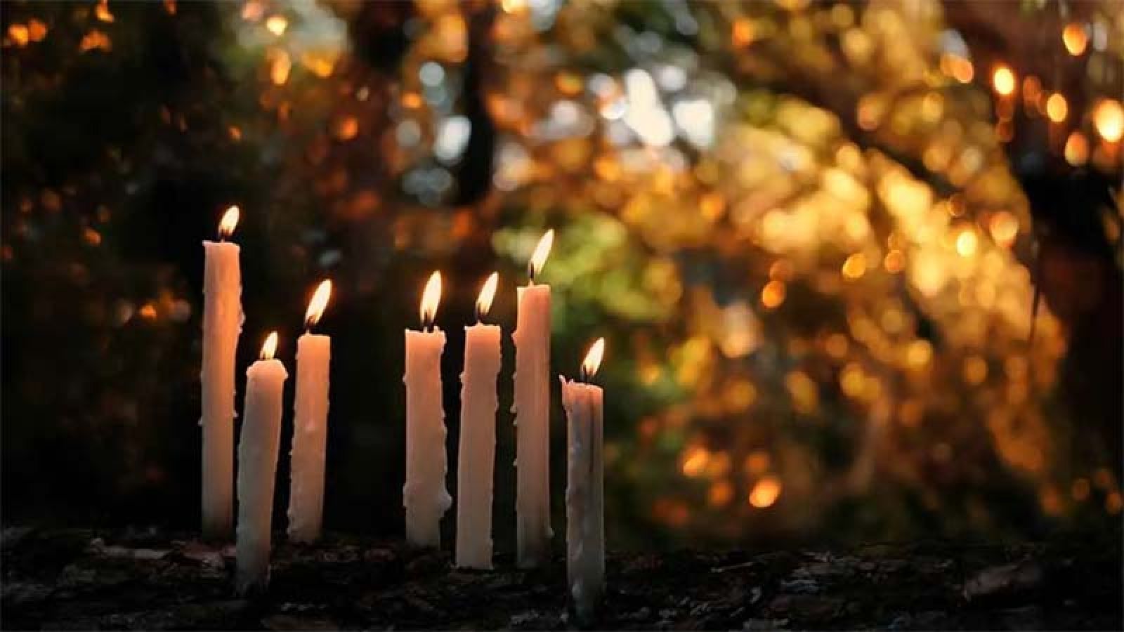 কালো জাদু করা আত্মীয়ের সঙ্গে সম্পর্ক ছিন্ন করা যাবে কি