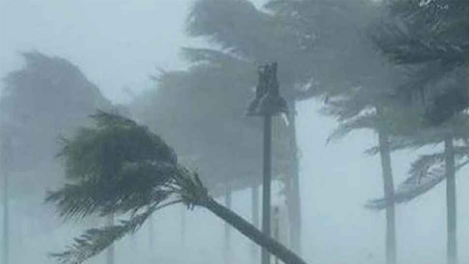 দেশের ১৭ অঞ্চলে ঝড়ের আশঙ্কা