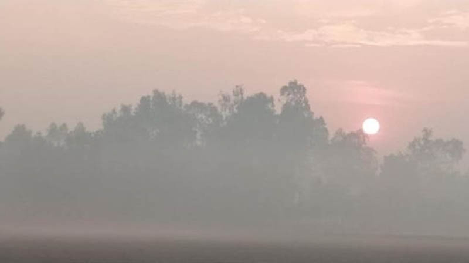 শীত নিয়ে ৫ দিনের পূর্বাভাসে নতুন বার্তা  দিল