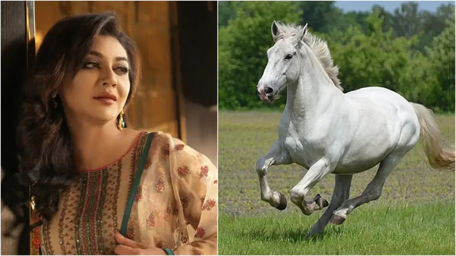 ঘোড়ার মাংসের বাণিজ্য নিষিদ্ধ চেয়ে জয়া আহসানের রিট