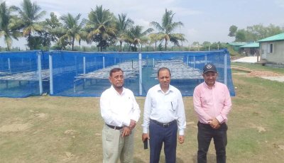 দেশের মৎস্য সম্পদের উন্নয়নে ভূমিকা রাখছে 'সাগর ফিশিং'