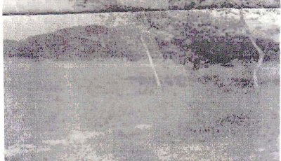 লাশ, রক্ত, স্বজনের শোকের মাতম শুকুন কুকুরের উৎসব