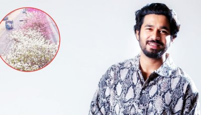সৌন্দর্য দেখতে গিয়ে নিজের জীবন বিপদমুখী করবেন না