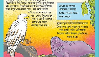 রিপলি’স বিলিভ ইট অর নট