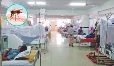 ডেঙ্গু আক্রান্ত হয়ে আরও ৭ জনের মৃত্যু, হাসপাতালে ভর্তি  ২২৪৯ জন