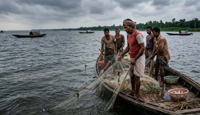 ধুঁকছে পদ্মা: কমছে প্রবাহ, অস্তিত্ব হারাচ্ছে মাছে-ভাতে বাঙালির ইলিশ ও দেশীয় প্রজাতি