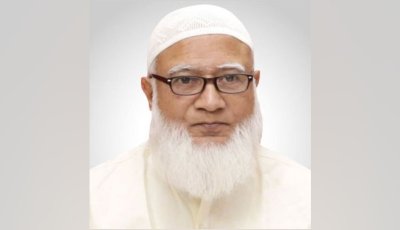 জাপান গেলেন জামায়াত আমির