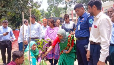 পঞ্চগড়ে বৃক্ষরোপণ কর্মসূচীর উদ্বোধন